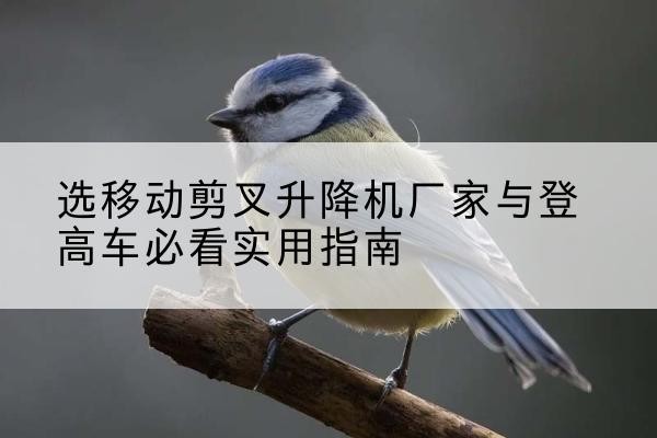河东电动升降机厂家-选移动剪叉升降机厂家与登高车必看实用指南