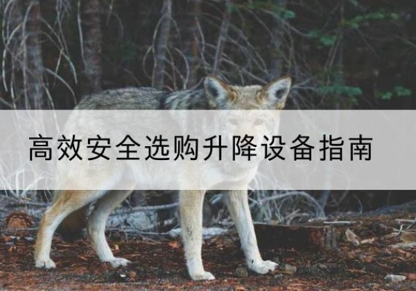 河东升降货梯厂家推荐-*安全选购升降设备指南