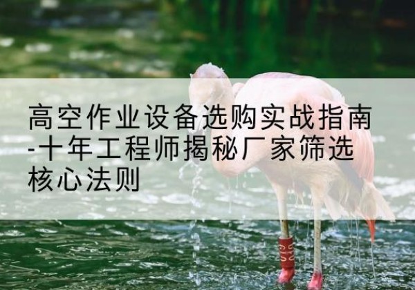 河东剪叉式升降机厂家-高空作业设备选购实战指南-十年工程师揭秘厂家筛选核心法则
