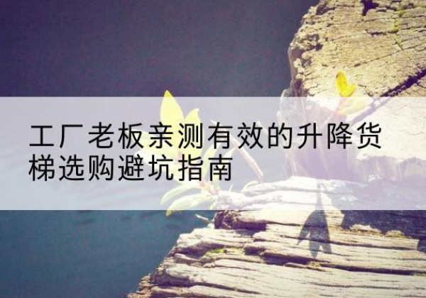 河东升降货梯怎么选-工厂老板亲测有效的升降货梯选购避坑指南